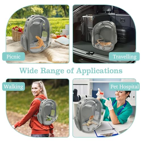 Bearded Dragon Carrier Backpack with Harness and Leash Set Large Reptile Travel Carrier Portable Lizard Backpack Clear Bubble Window Small Animal Carrying Bag for Gecko Kitten Rabbit (Gray)