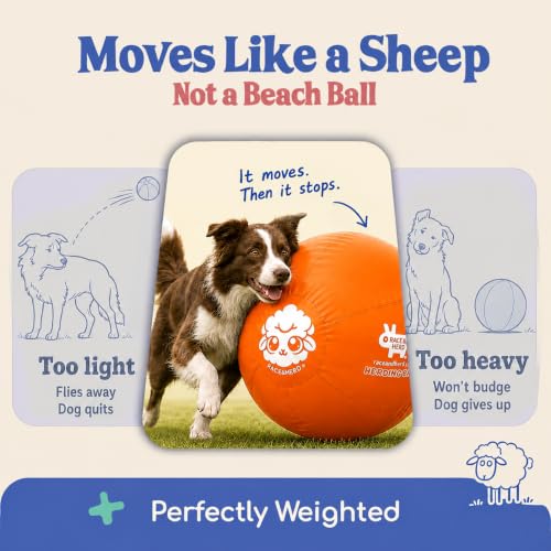 25" Herding Ball for Dogs (Tangerine - L 25" Herding Ball Set / L 25")