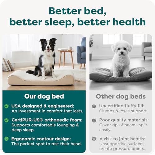 Orthopedic Dog Bed for Large