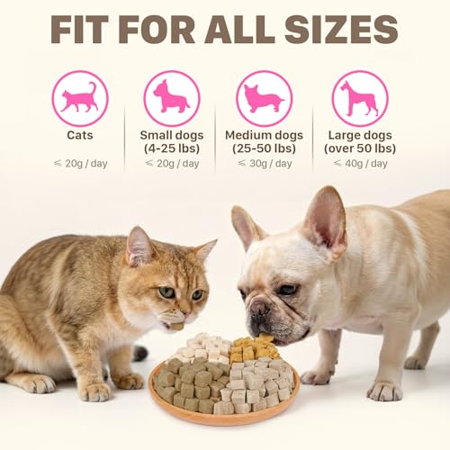 Freeze Dried Chicken Liver Treats for Dogs & Cats (6 Ounce (Pack of 1))