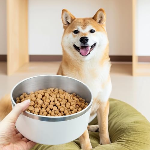 Stainless Steel Dog Bowls (Large / White)