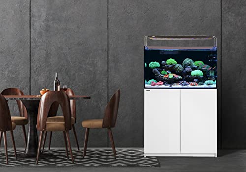 Wooden Aquarium Stand & Cabinet (W35.5xD17.7xH31.5in(90x45x80cm) / White)