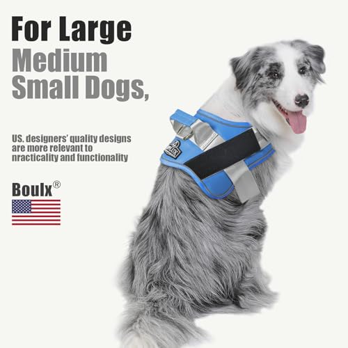 Dog Harness No (Small (Pack of 1) / BluePool)