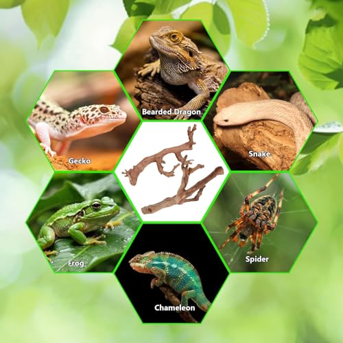 2PCS Reptile Wood Branches Decor (2Pcs 12in Reptile Wood Branches)