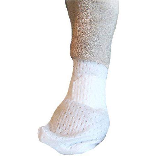 Medimitt Paw Bandages for Dogs (Large 12-Pack)