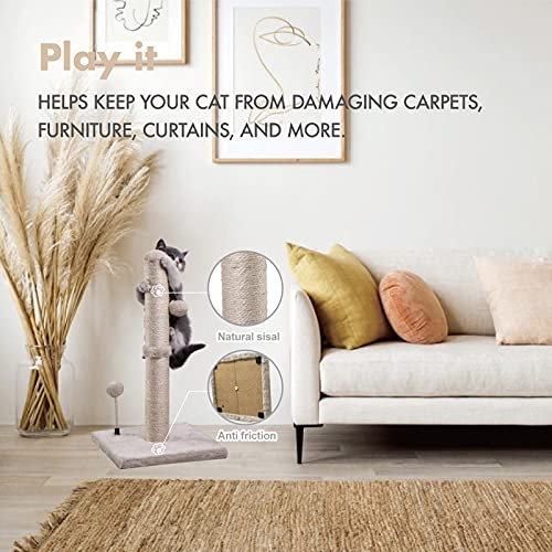 Cat Scratching Post Premium Basics Kitten Scratcher Sisal Scratch Posts with Hanging Ball 22in for Kittens or Smaller Cats (22 inches for kitten / Beige)