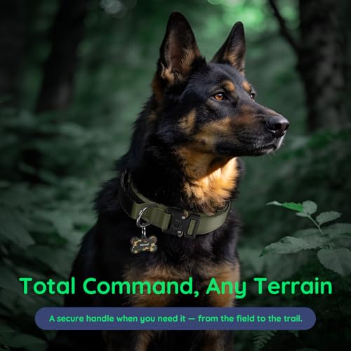 Premium Tactical Dog Collar (Army Green / XL: Fits Neck 20.5"-24.5")