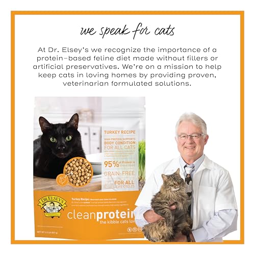 cleanprotein Turkey Cat Kibble 6.6 lb Bag (6.6 Pound (Pack of 1))