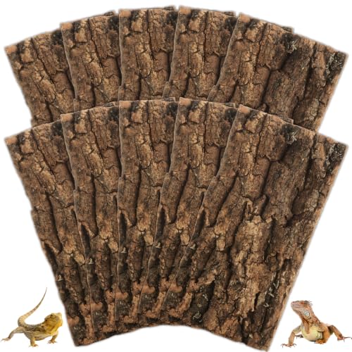 10PCS Cork Terrarium Background 7.8x3.9in for Reptile (10PCS-7.9×3.9in)
