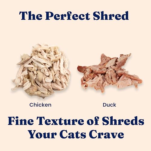 Wet Cat & Kitten Food (24 Pack)