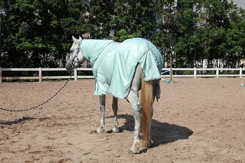 Horse Fly Sheet with Removable Neck Cover & Belly Wrap (Green / 78)