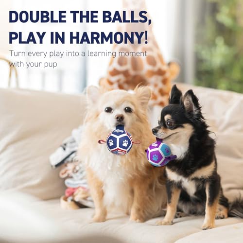 2 Pack Small Dog Toys (Soccer Pack / 2 Pack (3.5 Inch Balls))