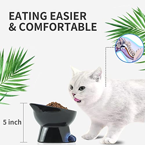 Elevated Cat Bowls (6.8 OZ / Blue & Black)