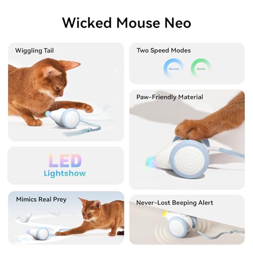 Interactive Cat Toys for Indoor Cats (Mouse Neo-Blue)