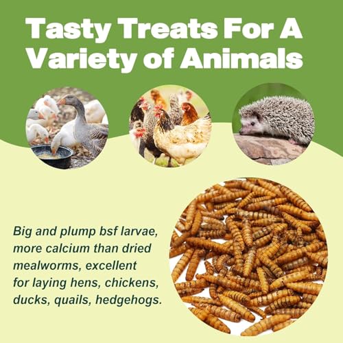 5LB Dried Black Soldier Fly Larvae for Chickens