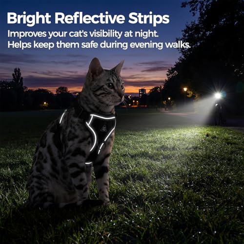 Cat Harness and Leash Set (Brown / Medium)