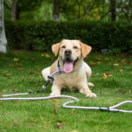 Rope Dog Leash with Two Handles (Blue / 6FT*0.51" Two Handle)