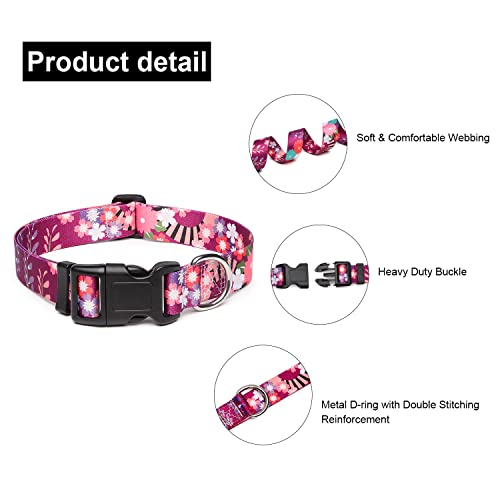 Adjustable Dog Collar (Small / Colorful Flower)