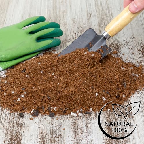 Terrarium Potting Soil Mix (8 Quarts)