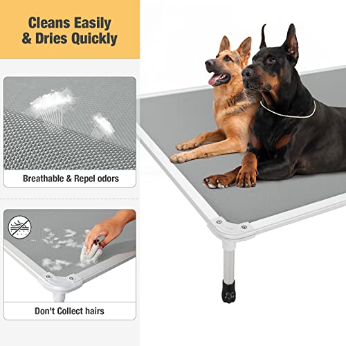 Chew Proof Elevated Dog Bed (Gray / 59.0"L x 37.5"W x 9.0"Th)
