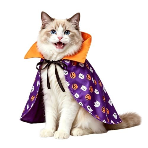 Cat Halloween Costume (Halloween Vampire Cloak)