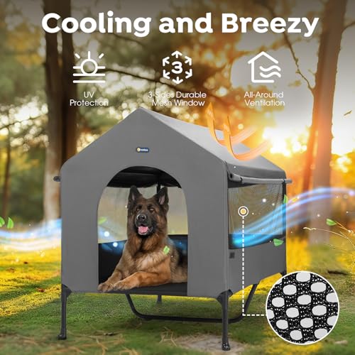 47" Dog House (Elevated Dog House)