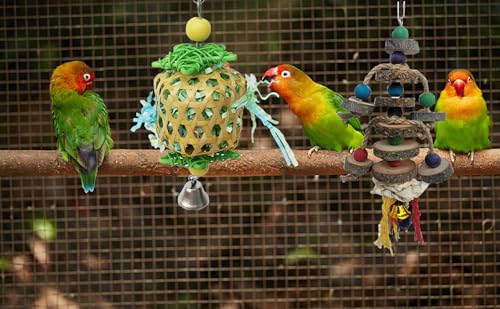 Bird Toys for Conures Parakeet (BellBall)