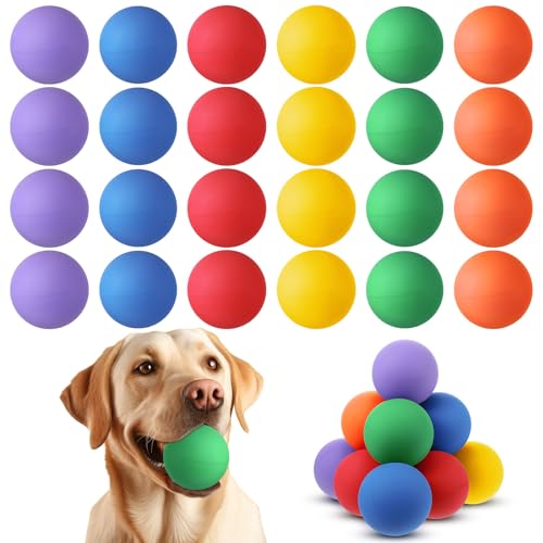 24 Pieces Rubber Dog Tennis Balls for Dog Colorful Catching Pet Balls for Fetch Training 2.4 Inch Interactive Bounce and Floatable Toy for Park Beach