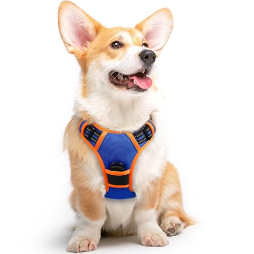 Dog Harness for Medium Sized Dogs (Medium / Blue & Orange)