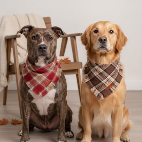 Fall Dog Bandanas with Fringe (Large / Rust Brown)