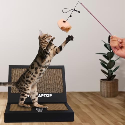 Toy Cat Laptop with 2 Scratchboards + Catnip Mouse Toy for Cats + 50pack Cat Sticker