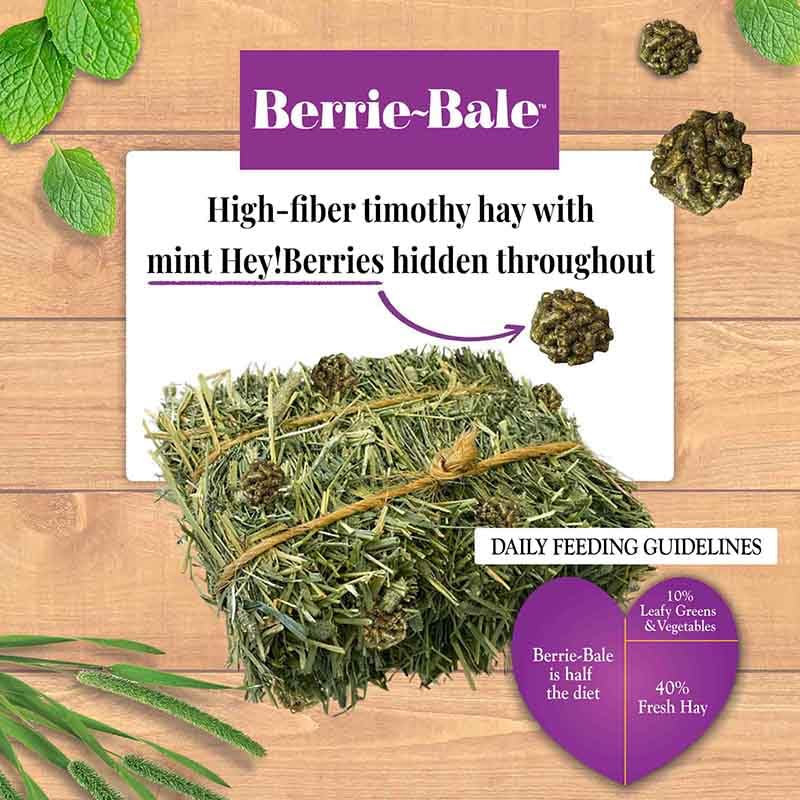 Berrie Bale Mint for Guinea Pigs 1 lb
