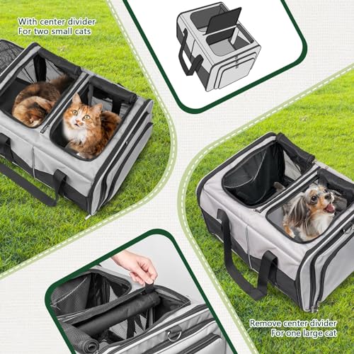 Cat Carrier for 2 Cats (Gray)