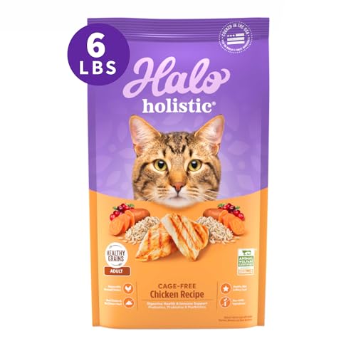 Holistic Dry Cat Food
