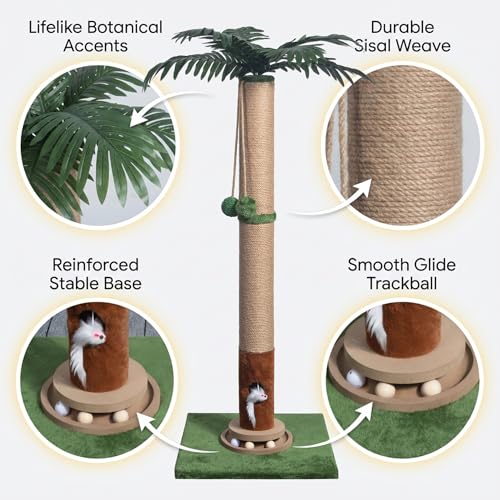 Cat Scratching Post 35'' Tall with Toy Mouse for Indoor Cats (Green-35 Inches)