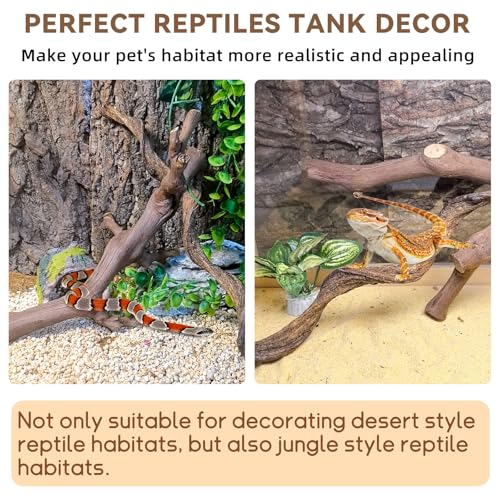 2PCS Reptile Wood Branches (1 Grapewood Branch + 1 Mountain Vine Branch)