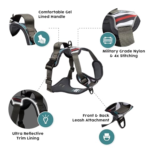 Embark No Pull Dog Harness (XL / Maverick)