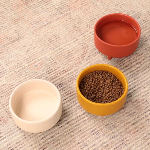 Uplift Ceramic Dog Bowl for Small Medium and Large Breeds (Small / Teracotta)