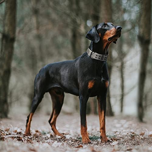 Heavy Duty Dog Collar for Large Dogs with Metal Belt Buckle (X-Large(24"-28") / Grey)