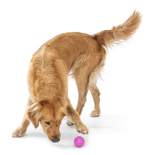 Boundr Ball Dog Fetch Toy (Small (Pack of 2) / Dandelion)