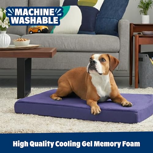 Orthopedic Dog Bed (Navy / Small)