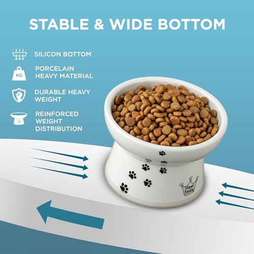 Necoichi Porcelain Ceramic Elevated Cat Food Bowl (Cat / Regular)