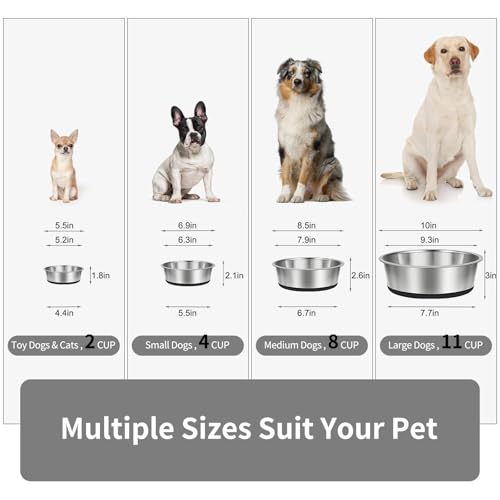 Stainless Steel Dog Bowls Set of 2 (8 CUP / Black)
