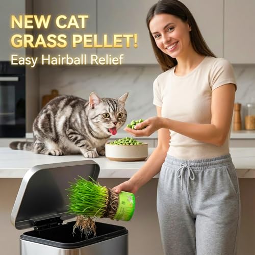 Cat Grass Treat Indoor 120g (4.23 Ounce (Pack of 1))