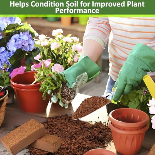 6 Pack Coco Coir Bricks for Plants (6 Pack)