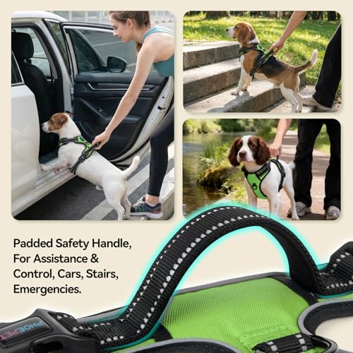 No Pull Dog Harnesses for Small Puppies Reflective Adjustable (Small / Green)