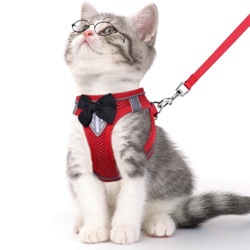 Cat Vest Harness and Leash Set (Red / XS)