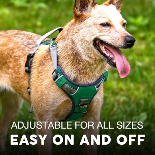 Embark No Pull Dog Harness (M / Green)