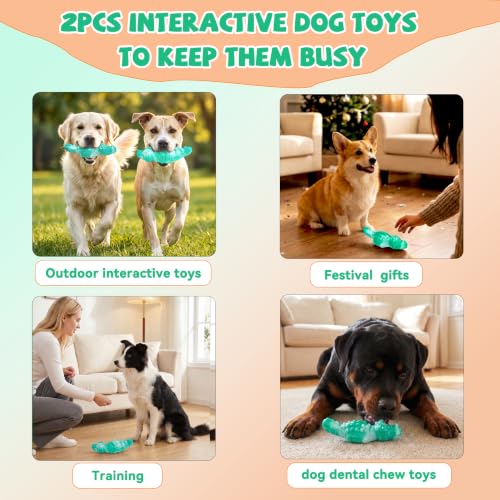2Pack Tough Dog Toys for Aggressive Chewers (Green / Medium)