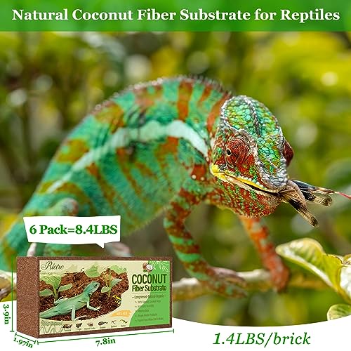 6 Pack Natural Coconut Fiber Substrate (6 Pack)